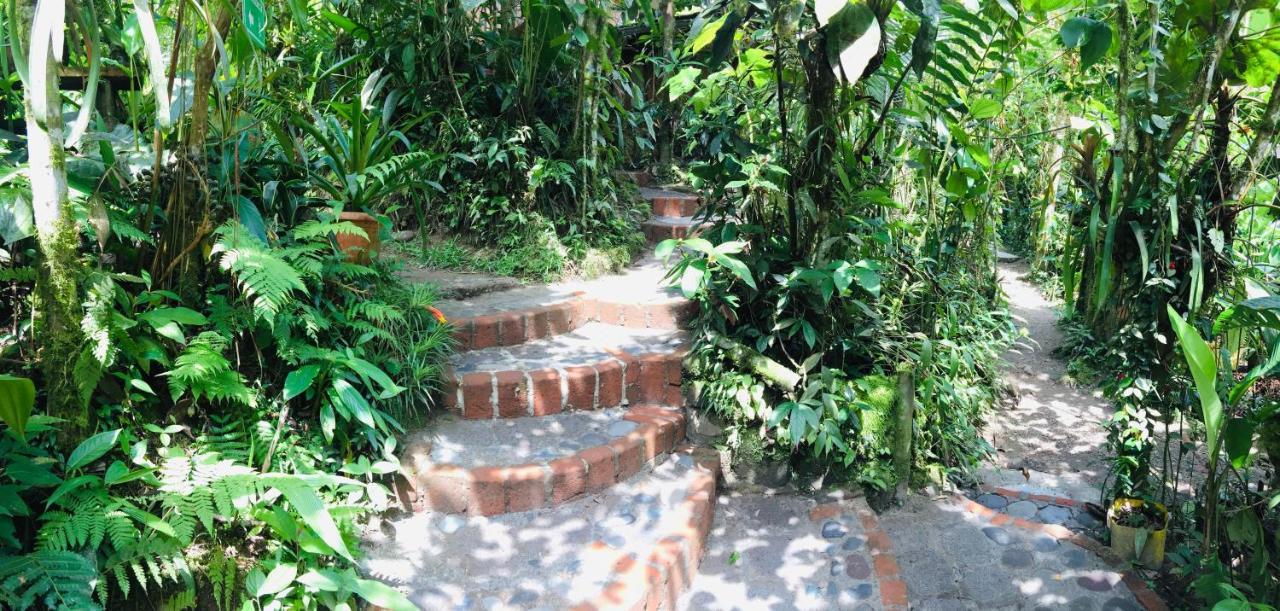 Cabanas Armonia Y Jardin De Orquideas 민도 외부 사진