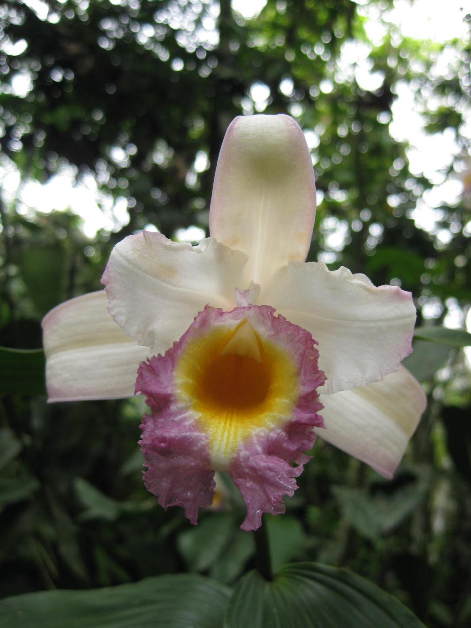 Cabanas Armonia Y Jardin De Orquideas 민도 외부 사진