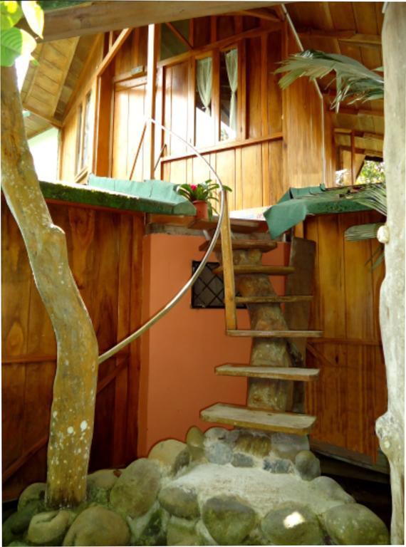 Cabanas Armonia Y Jardin De Orquideas 민도 외부 사진